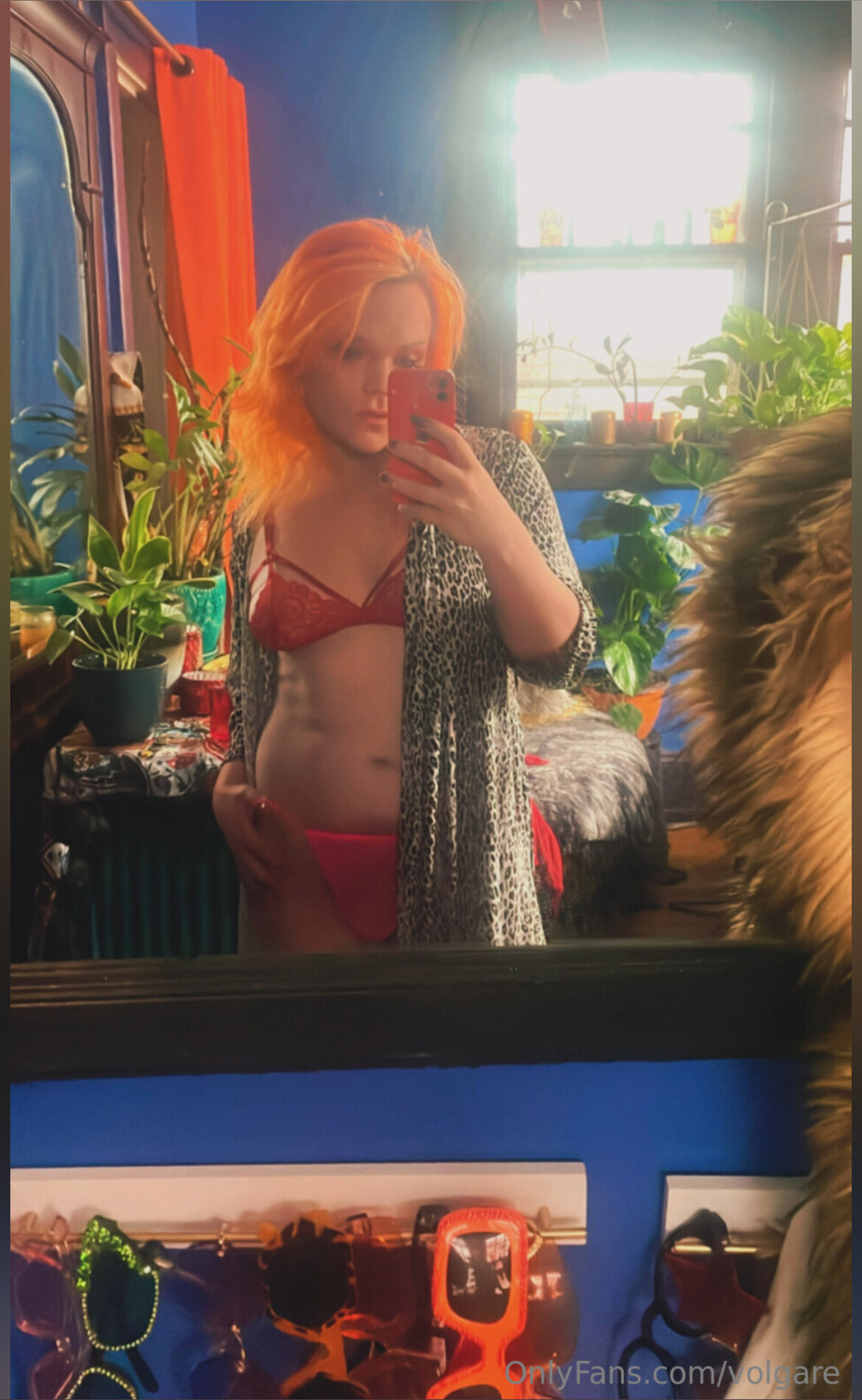 Mo’Dest Volgare OnlyFans