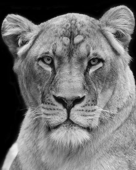 Vollweib94 OnlyFans header