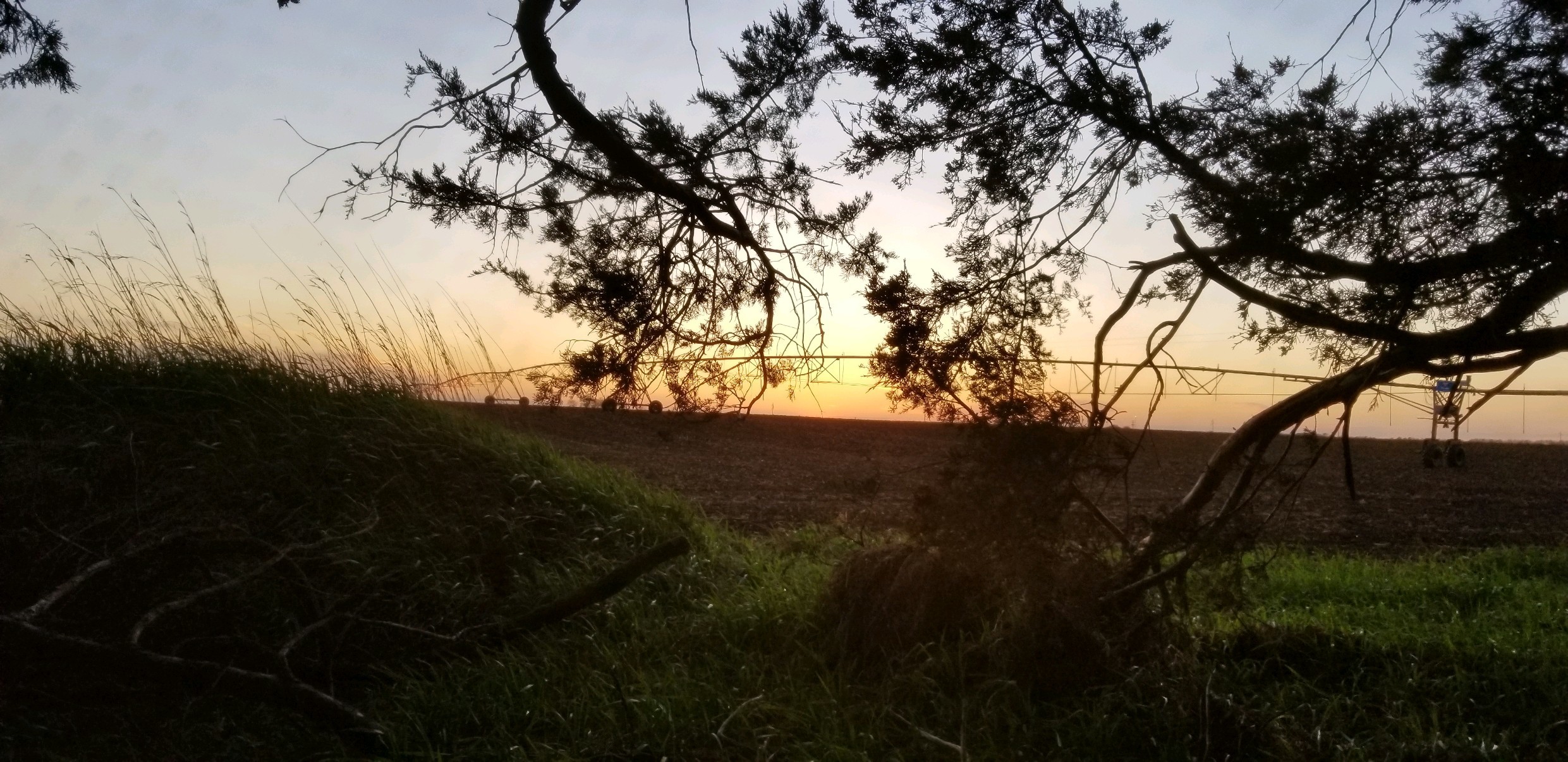 Tyler Langman OnlyFans header