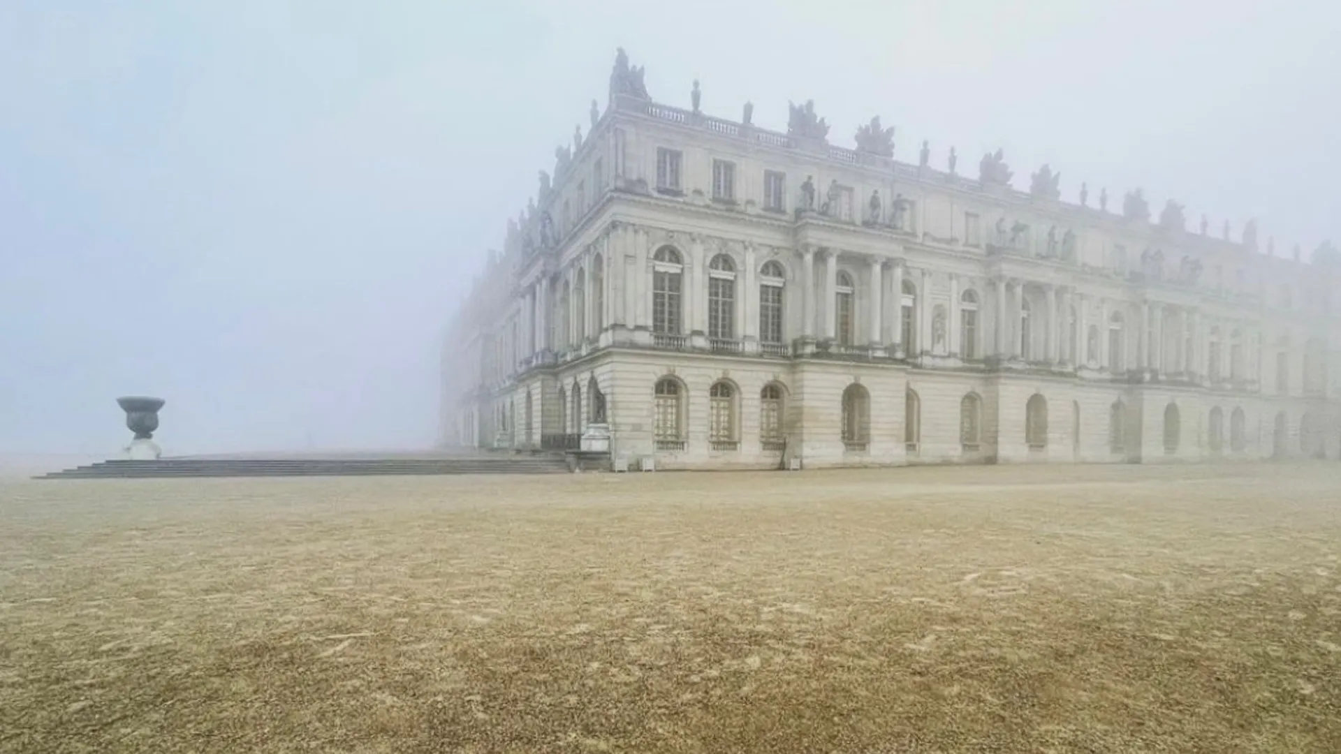 Volunteer OnlyFans header