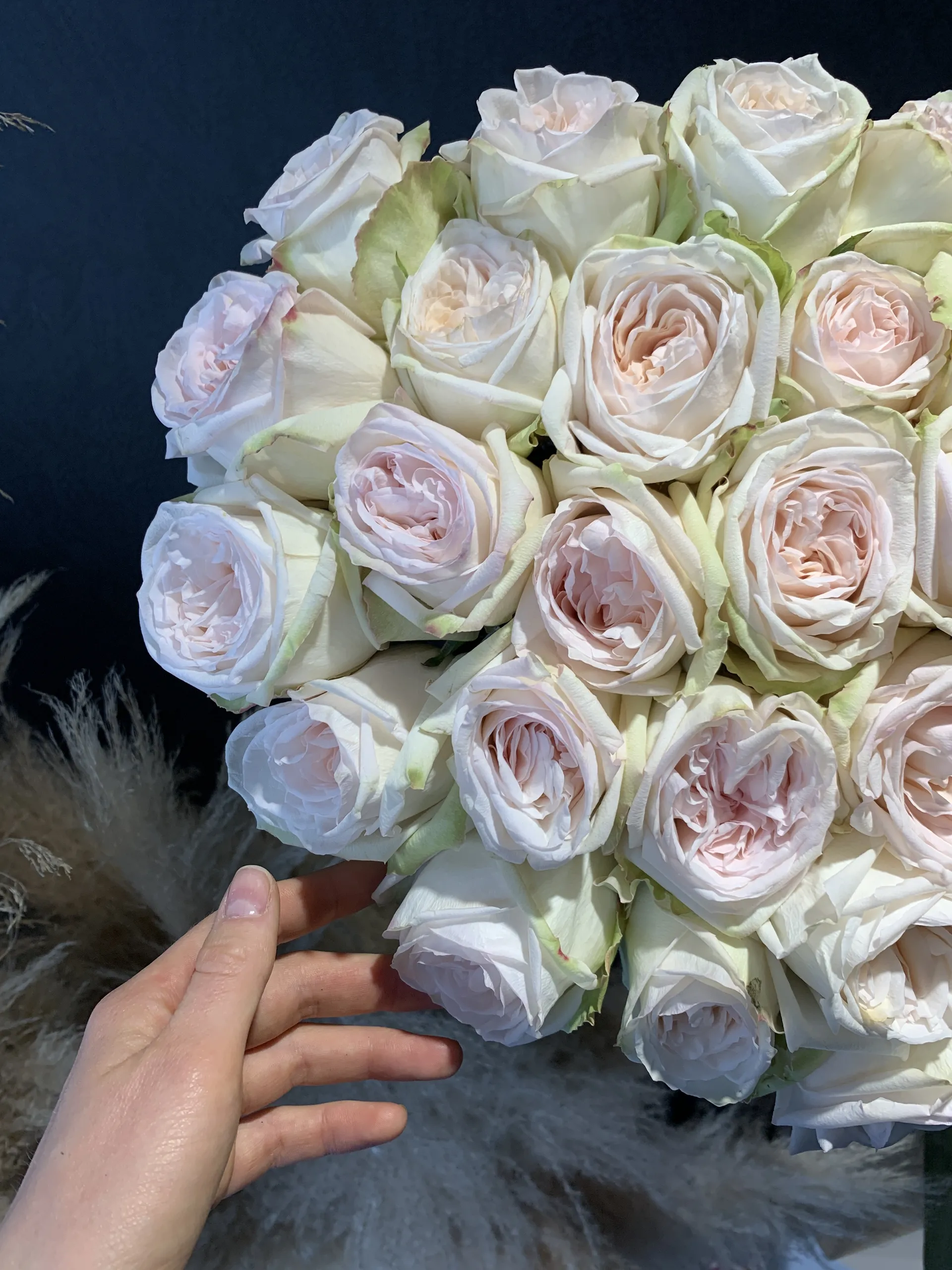 Olga OnlyFans header