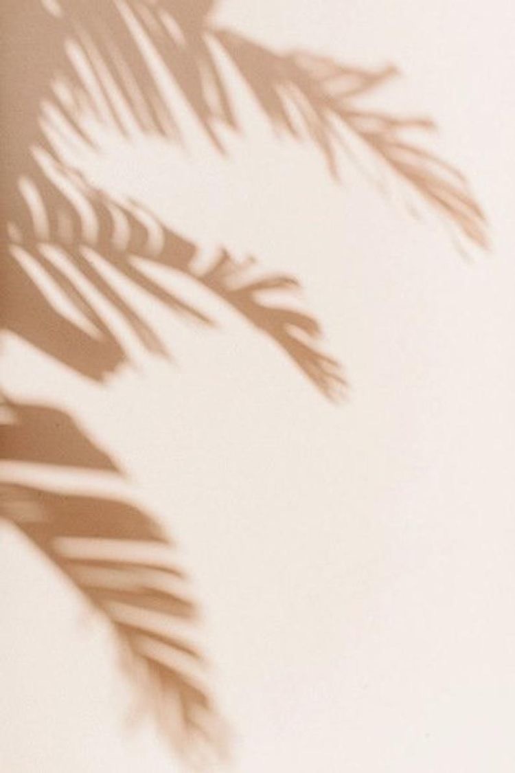 Von’roe OnlyFans header