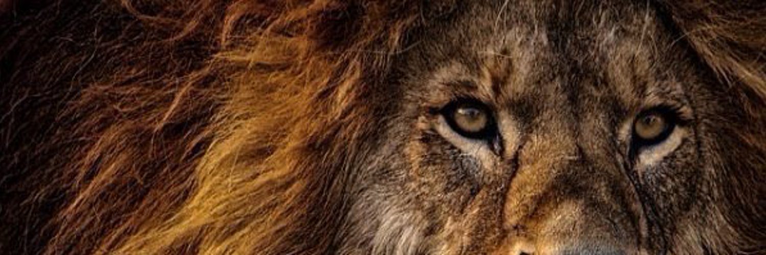 VooDoo✨🍆💦 OnlyFans header