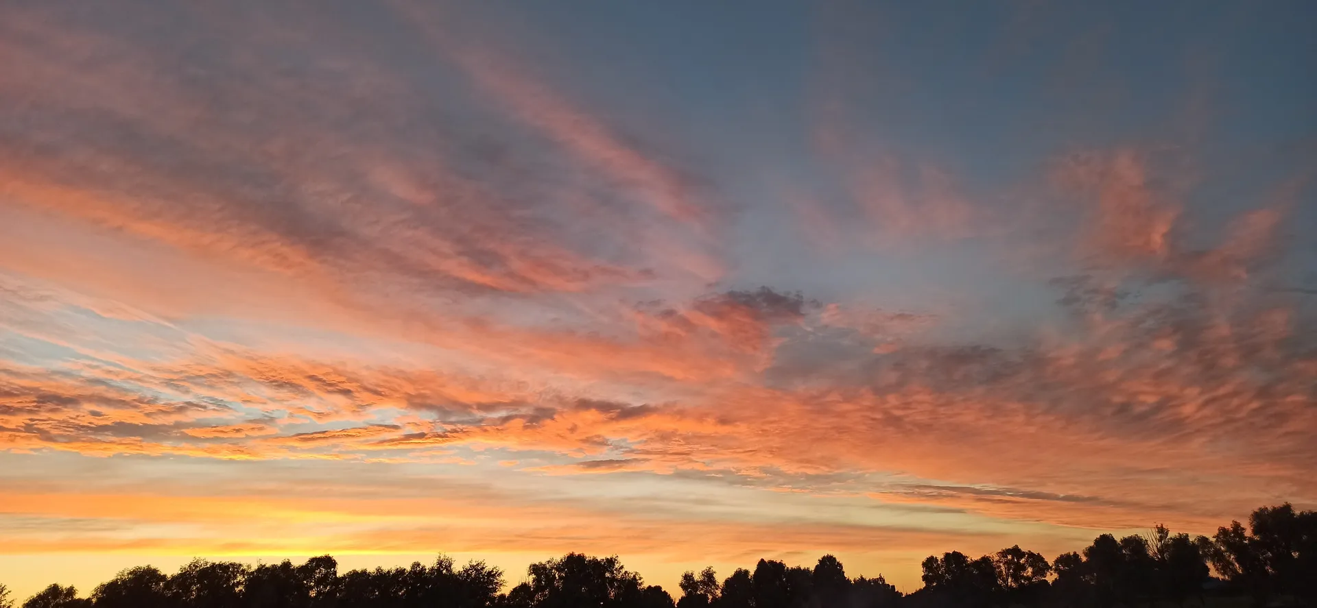 Katerina Vorontshova OnlyFans header