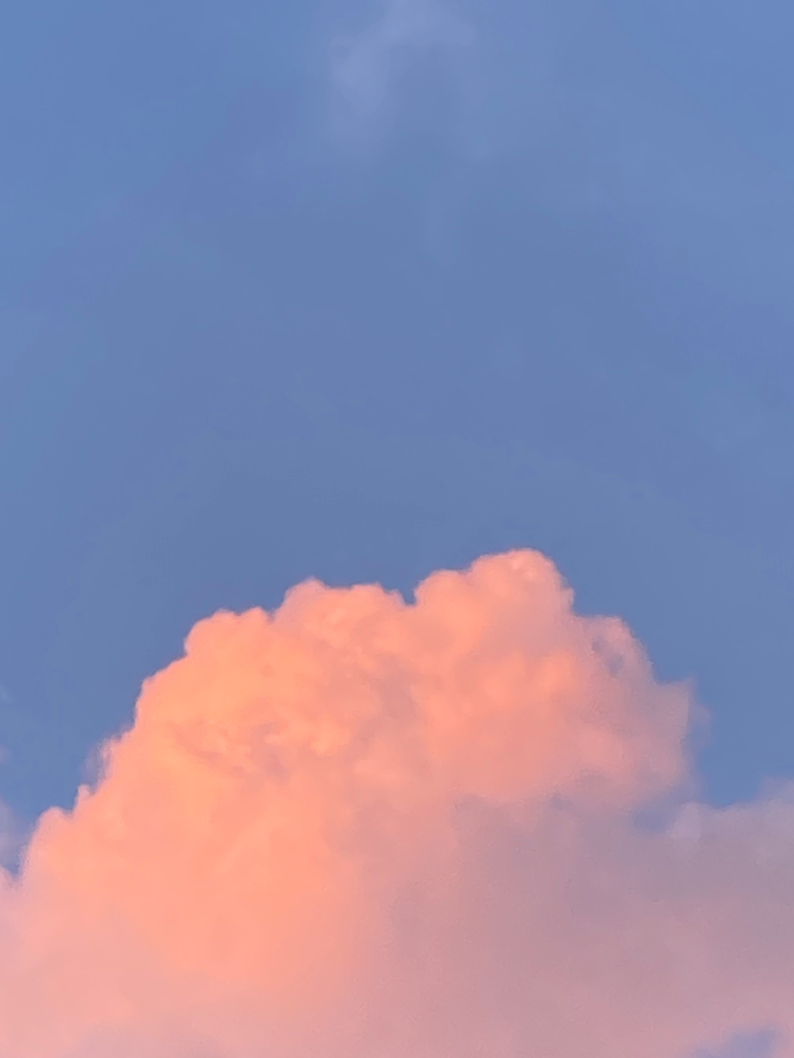 Voxybunny OnlyFans header