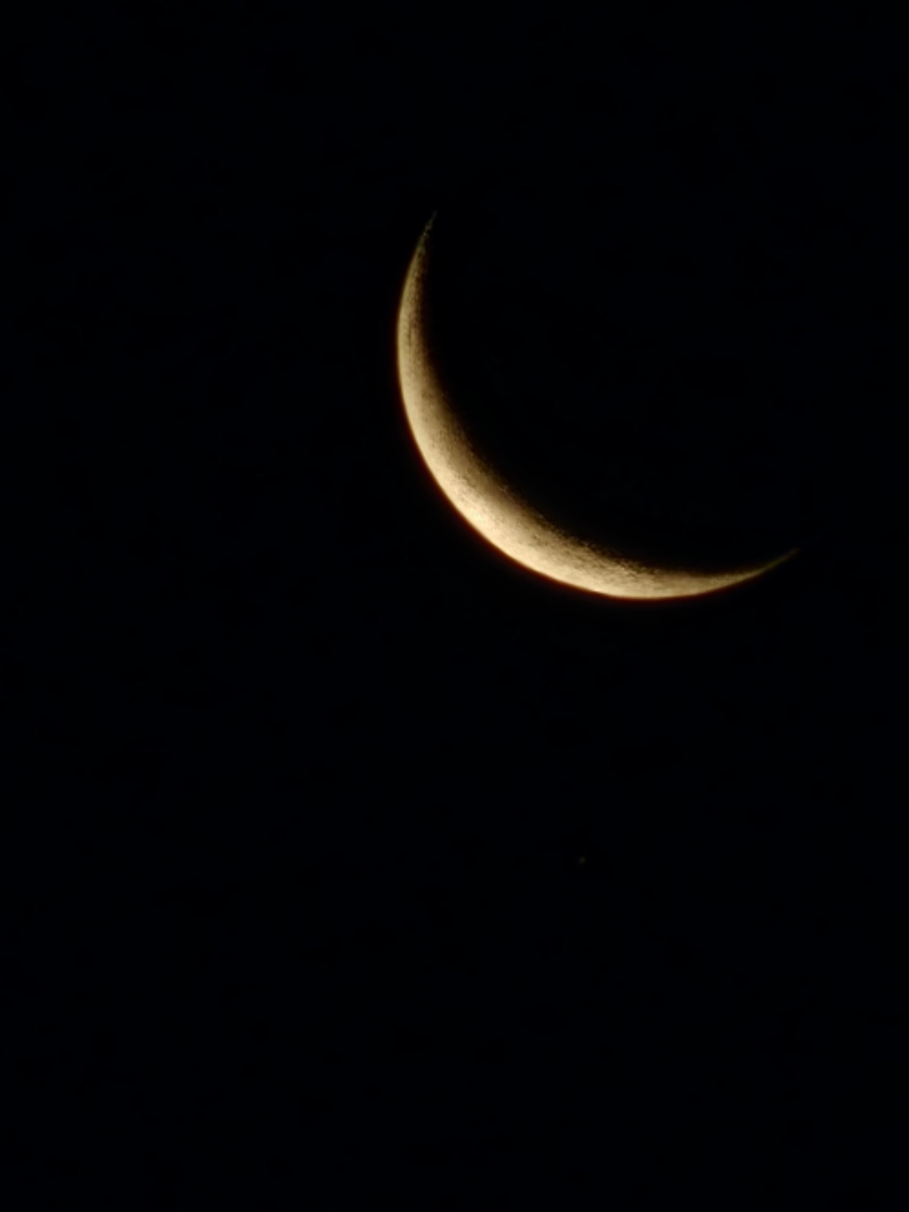 Verga Man 🍆 OnlyFans header