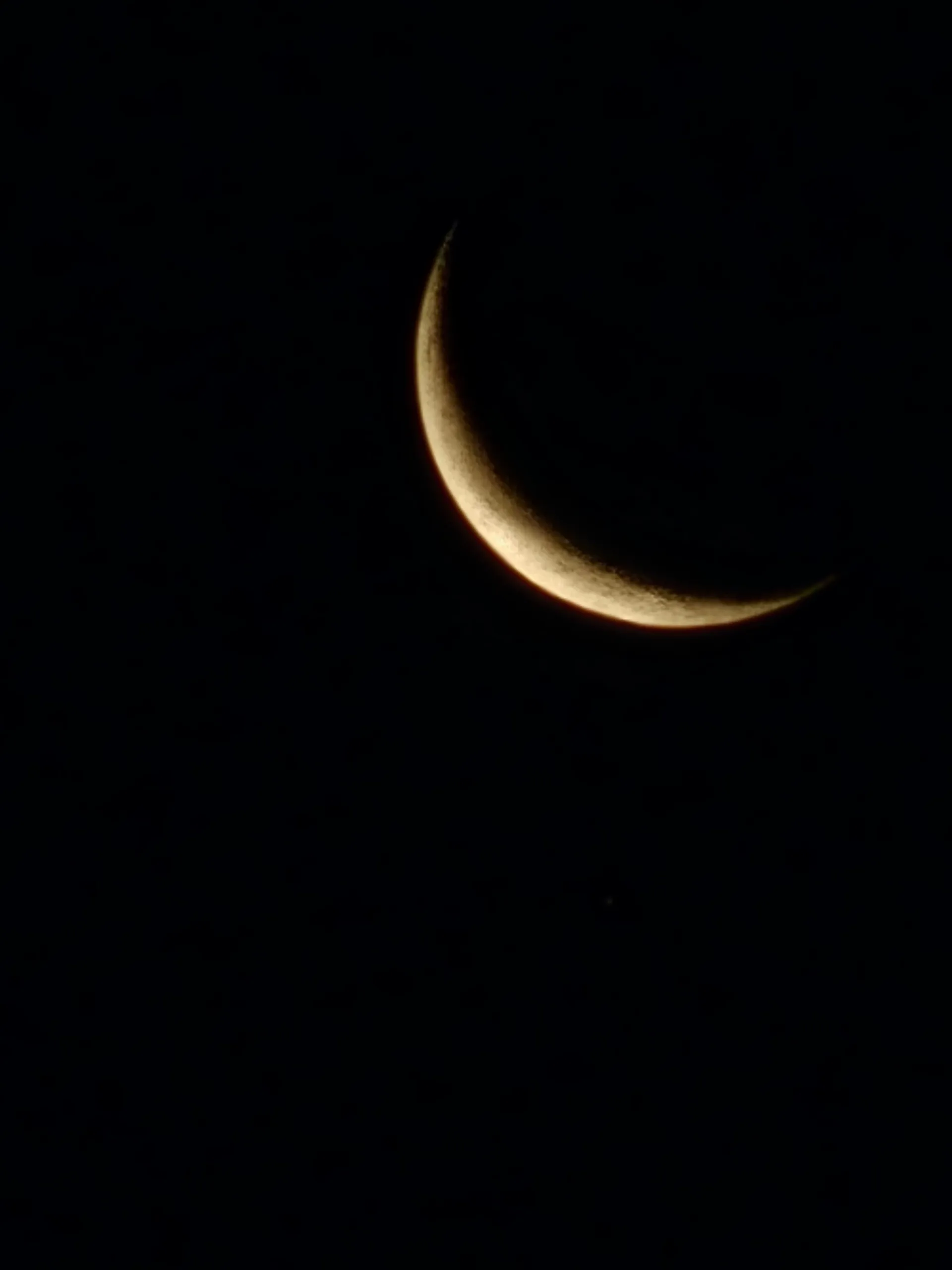 Verga Man 🍆 OnlyFans header