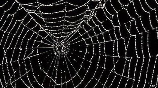 𝔙𝔯𝔦𝔫 𝔅𝔢𝔩𝔩𝔰 🦇 OnlyFans header