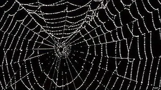 𝔙𝔯𝔦𝔫 𝔅𝔢𝔩𝔩𝔰 🦇 OnlyFans header