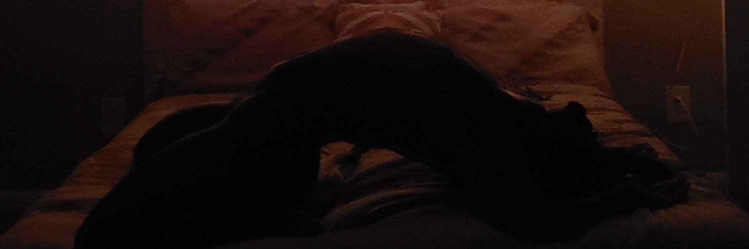 BEEJ OnlyFans header