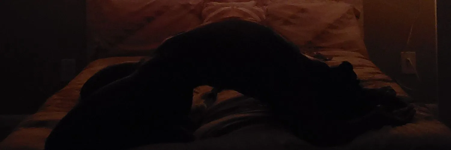 BEEJ OnlyFans header