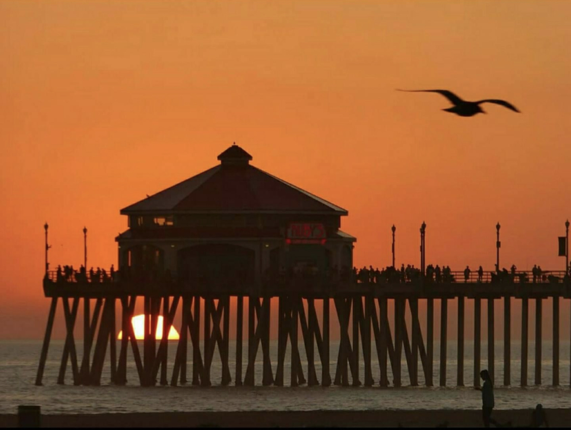 Lost OnlyFans header