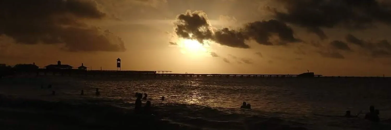 vtllz🏳️‍⚧️ OnlyFans header