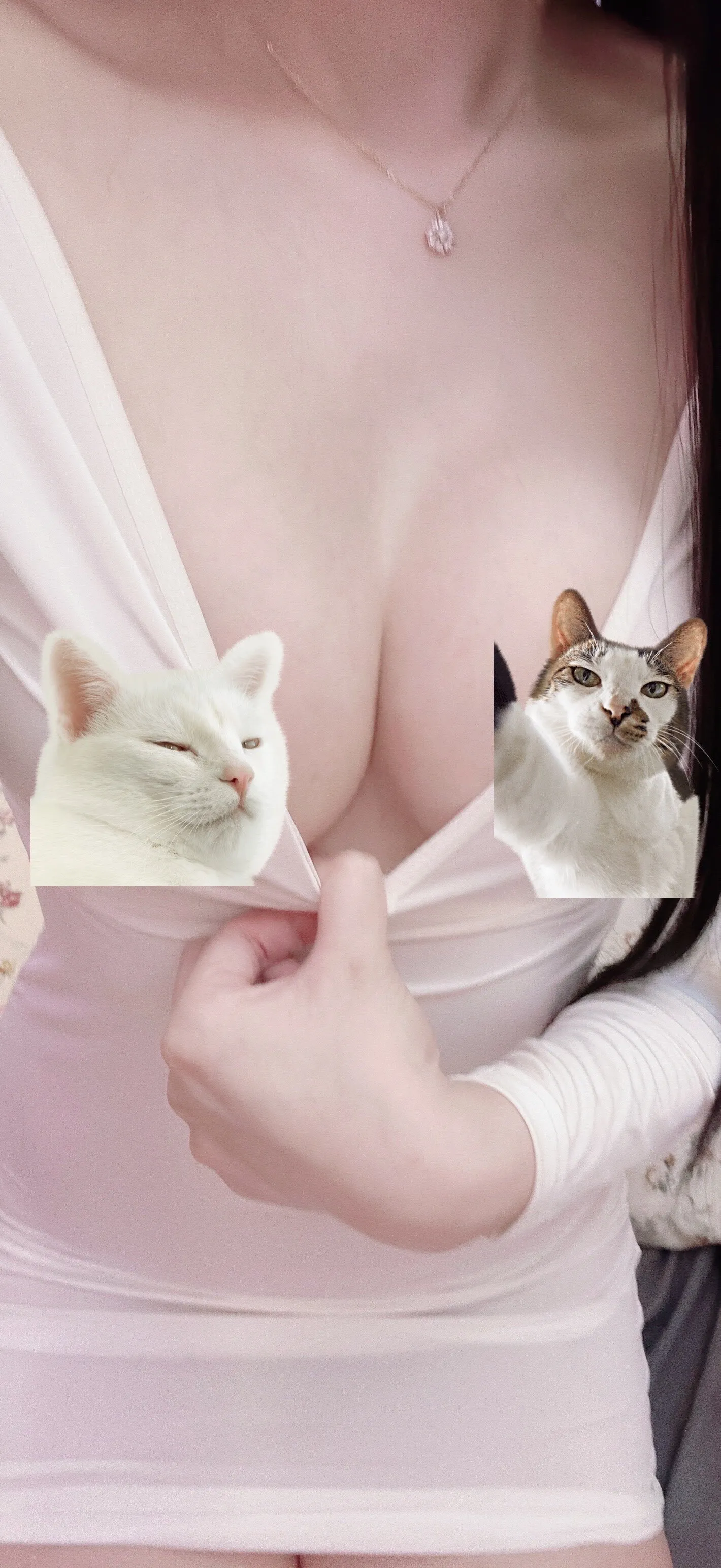 貝特(^з^)-☆beite OnlyFans header