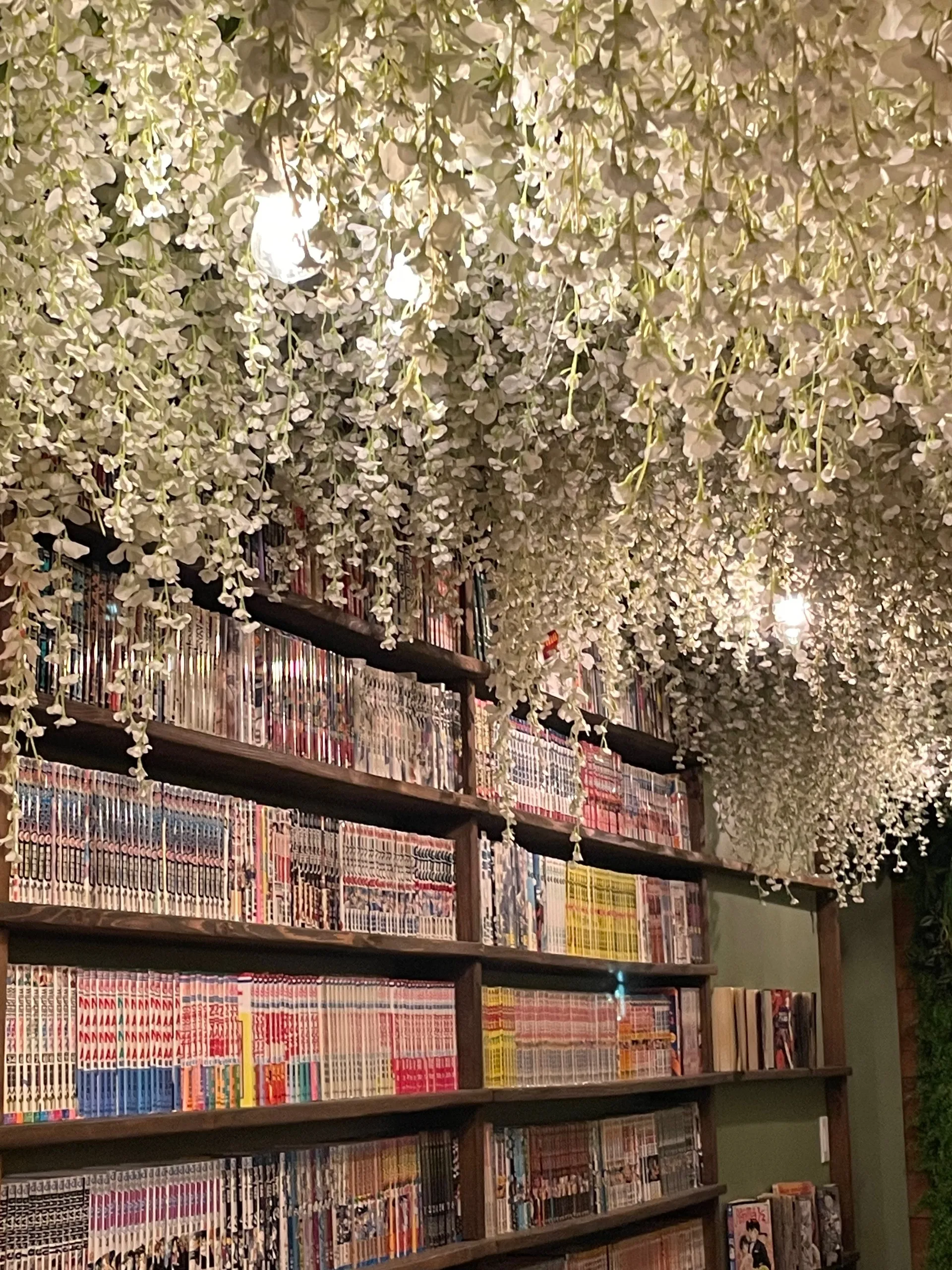 Celina OnlyFans header