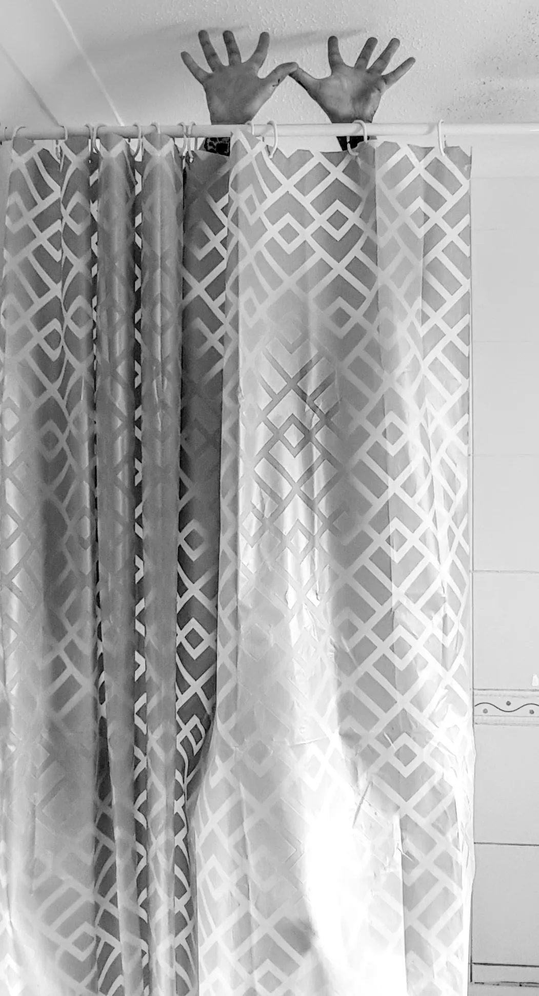 vulpesvulpes OnlyFans header