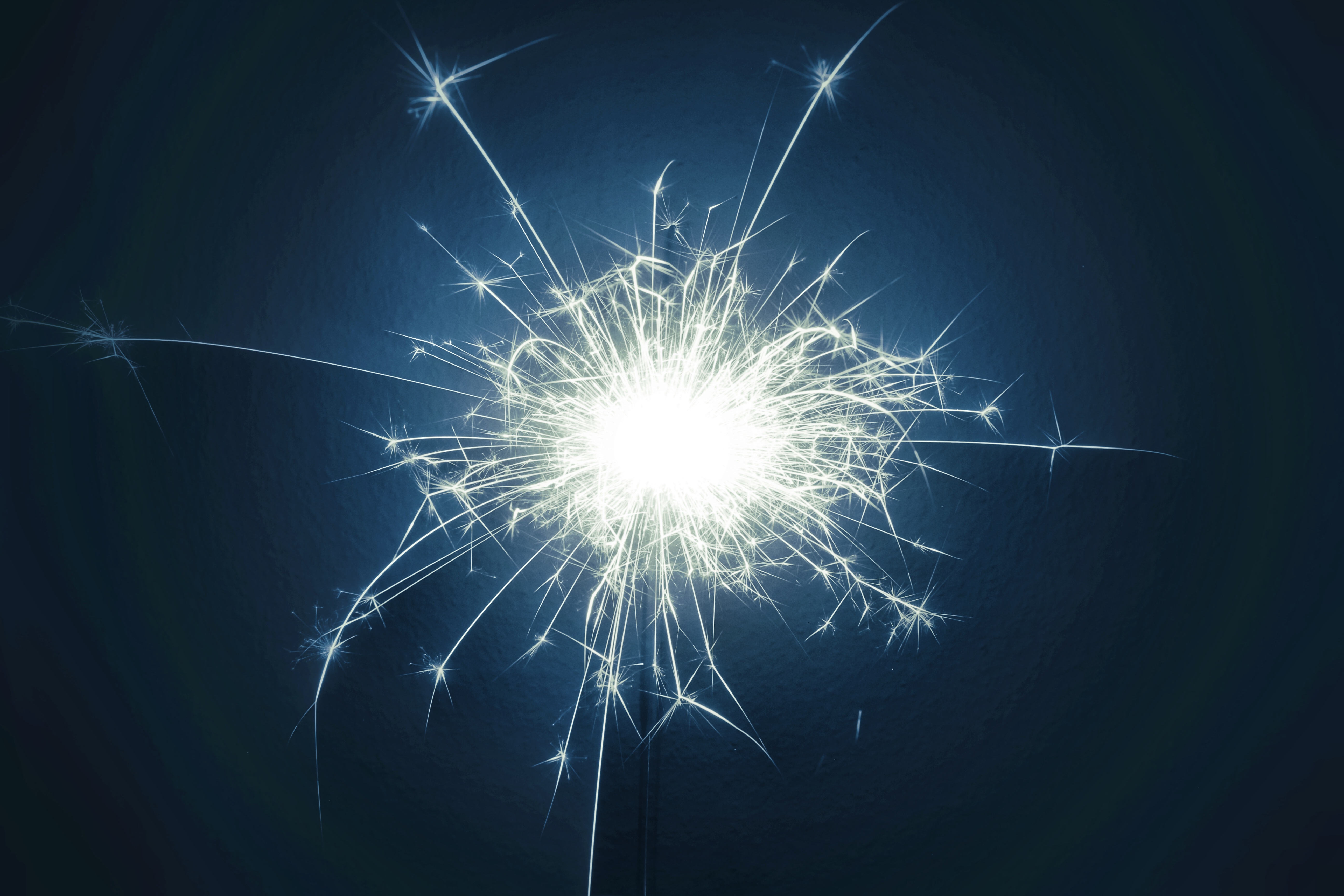 vulpes_vulpes9VIP OnlyFans header