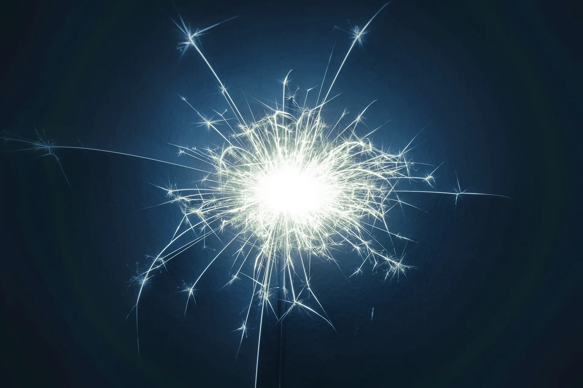 vulpes_vulpes9VIP OnlyFans header