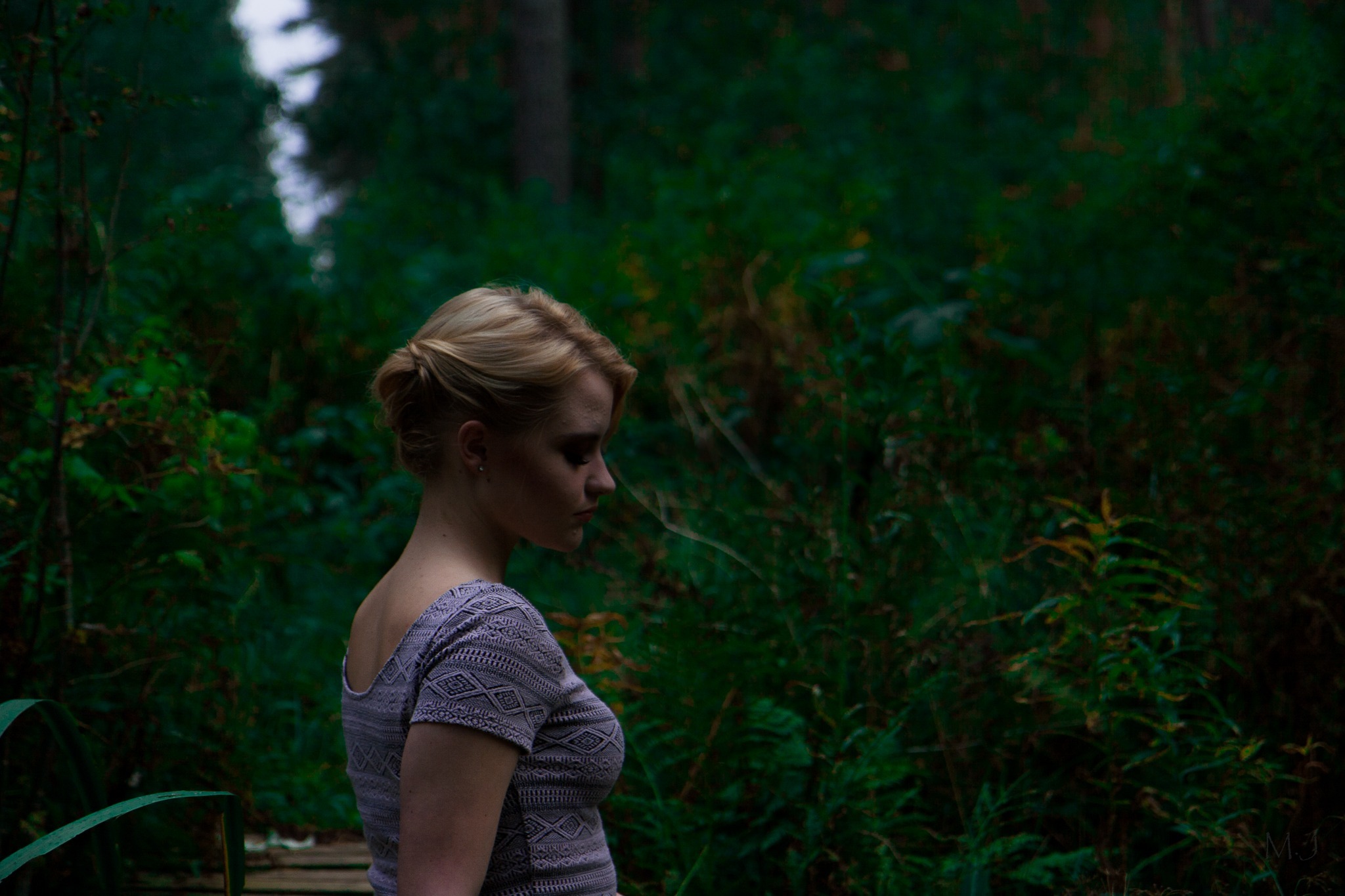 Vulpes Lagopus OnlyFans header