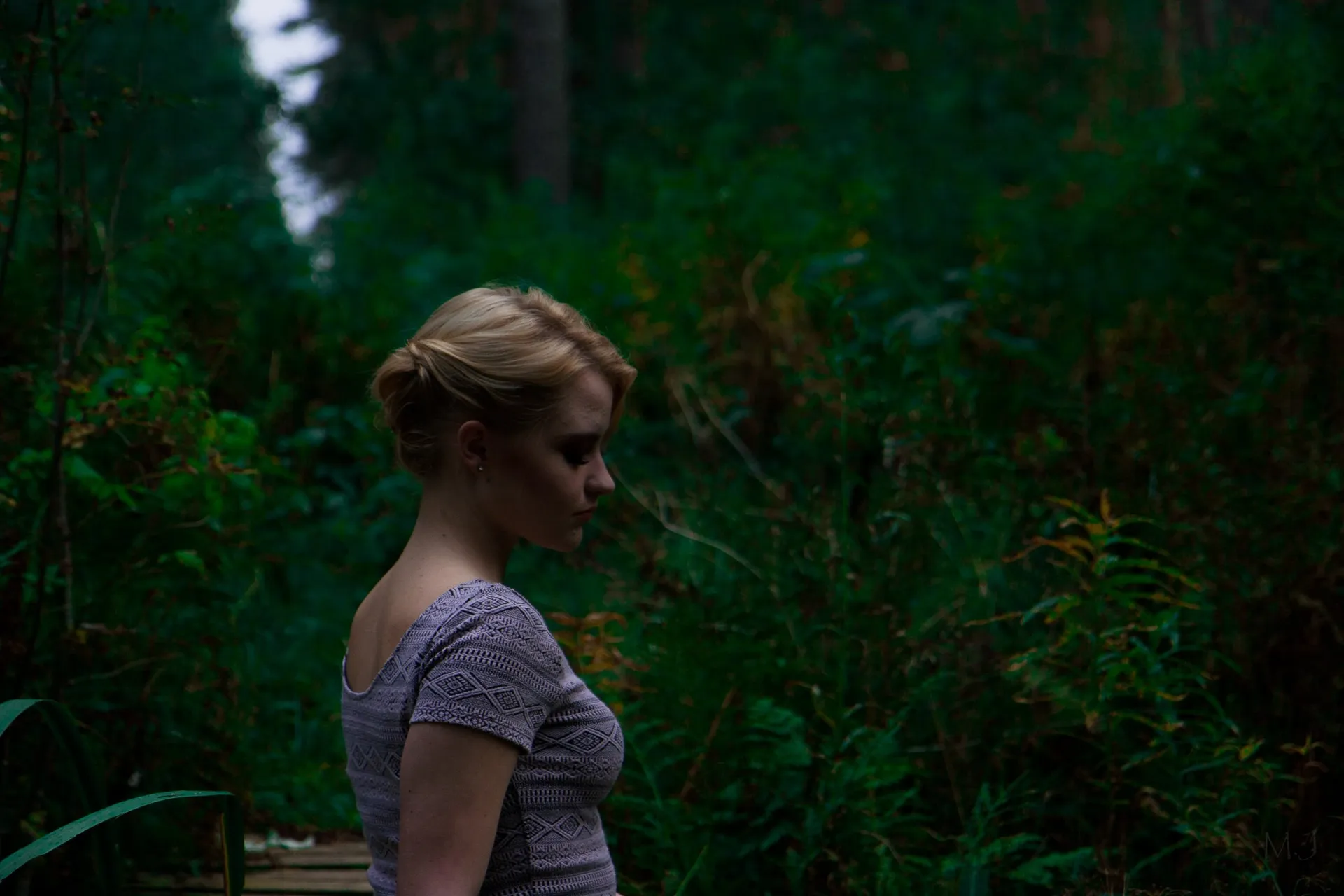 Vulpes Lagopus OnlyFans header