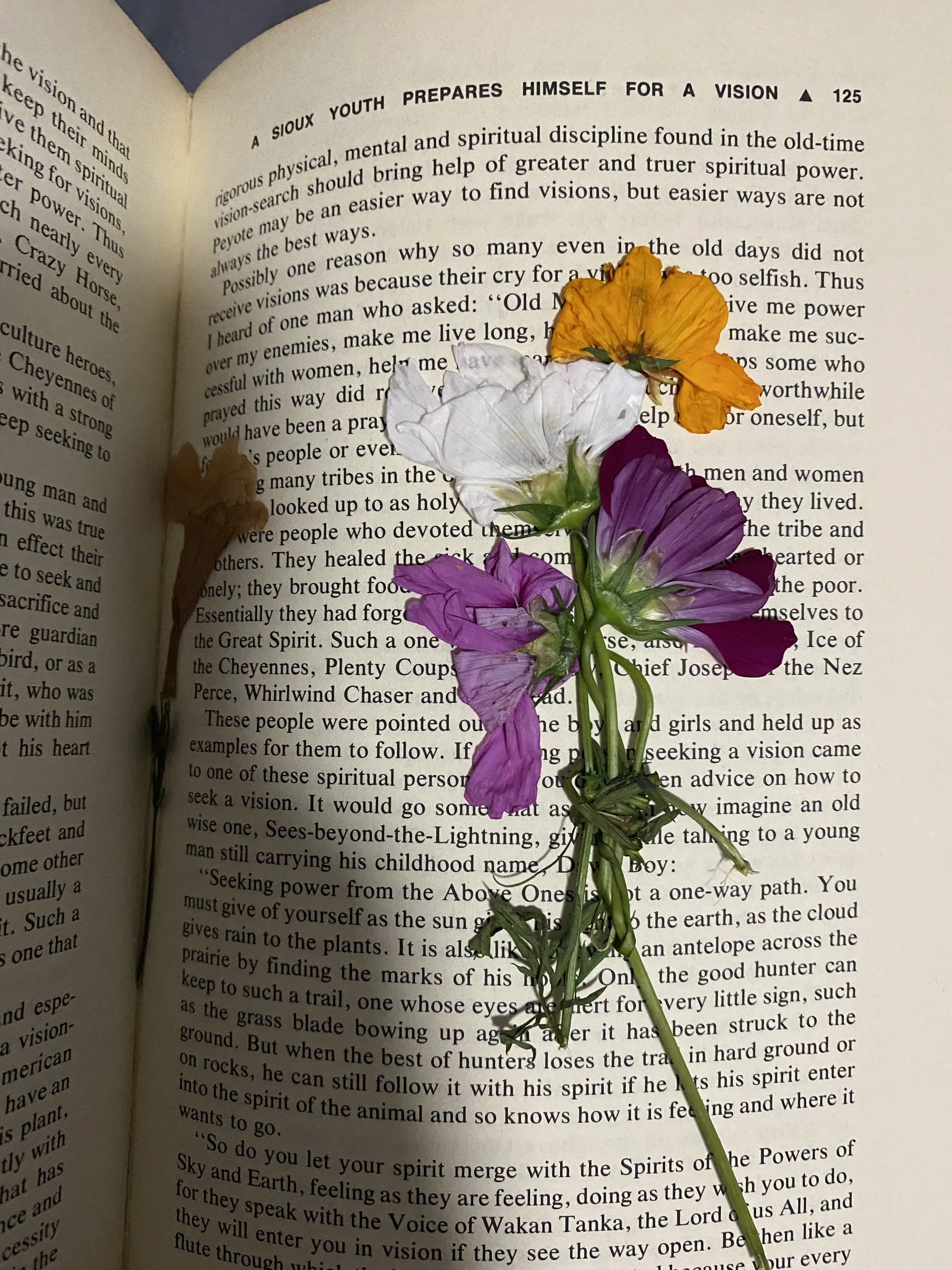 vvalentimee OnlyFans header