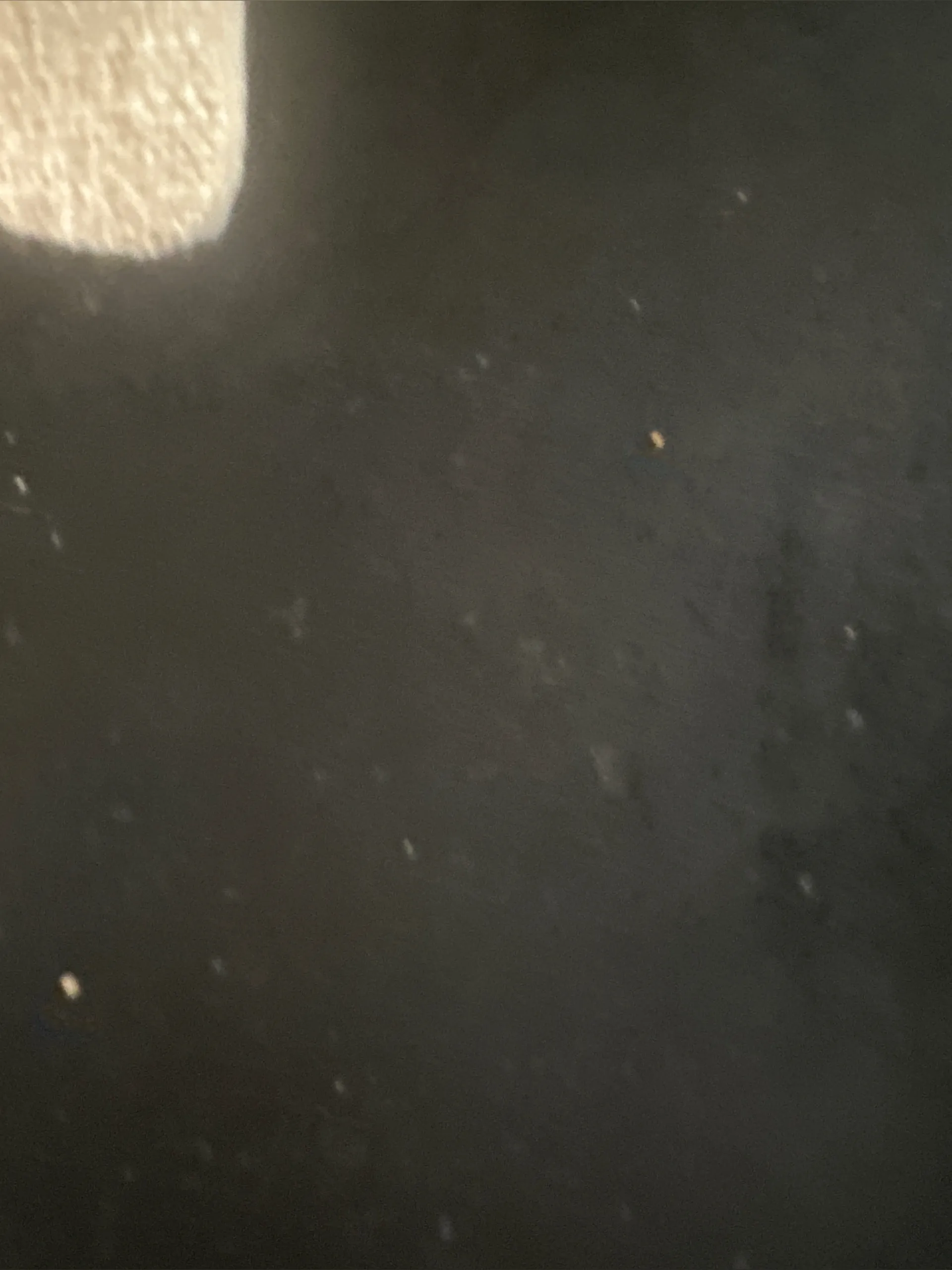 VValentine OnlyFans header