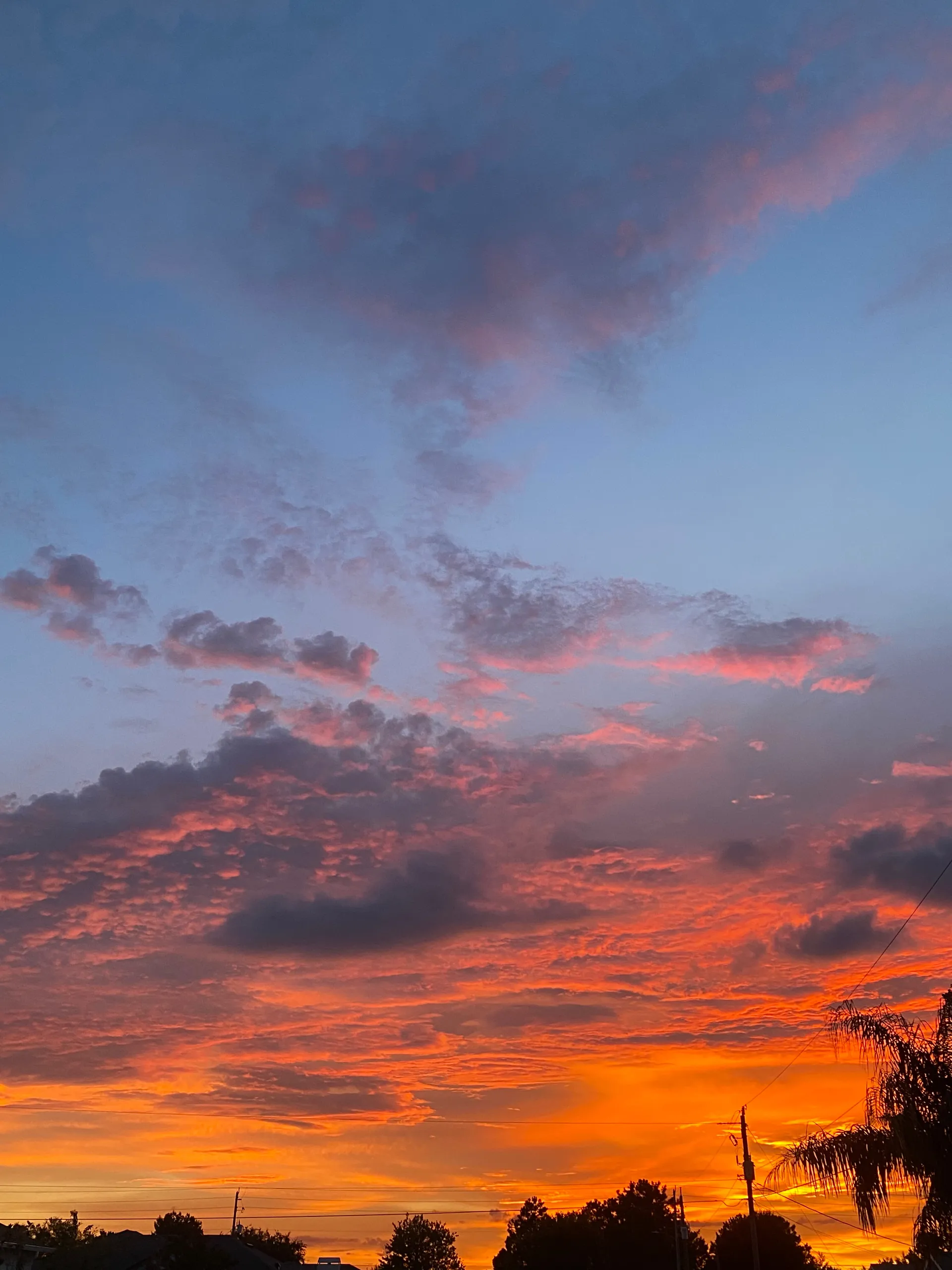 Vexi -w- OnlyFans header