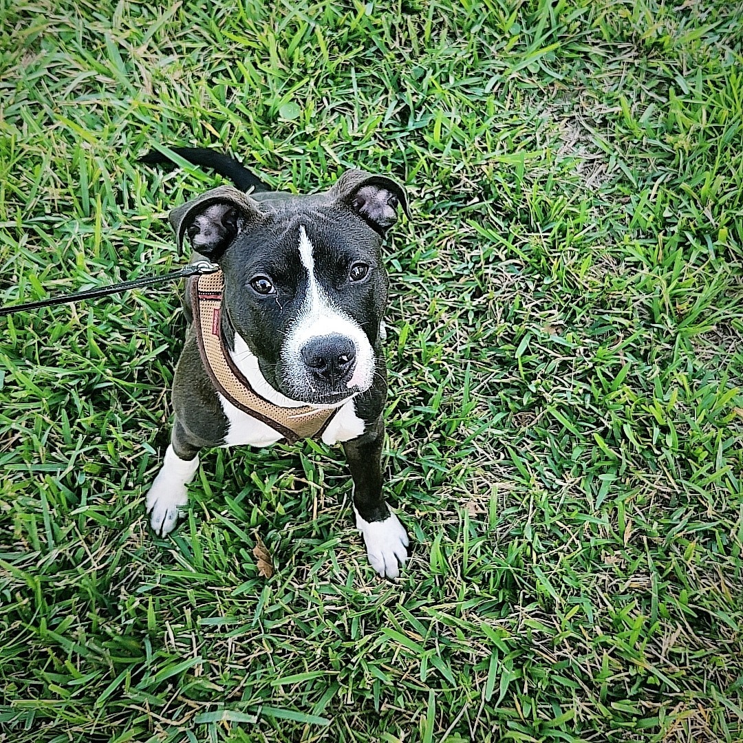 Ashley T OnlyFans header