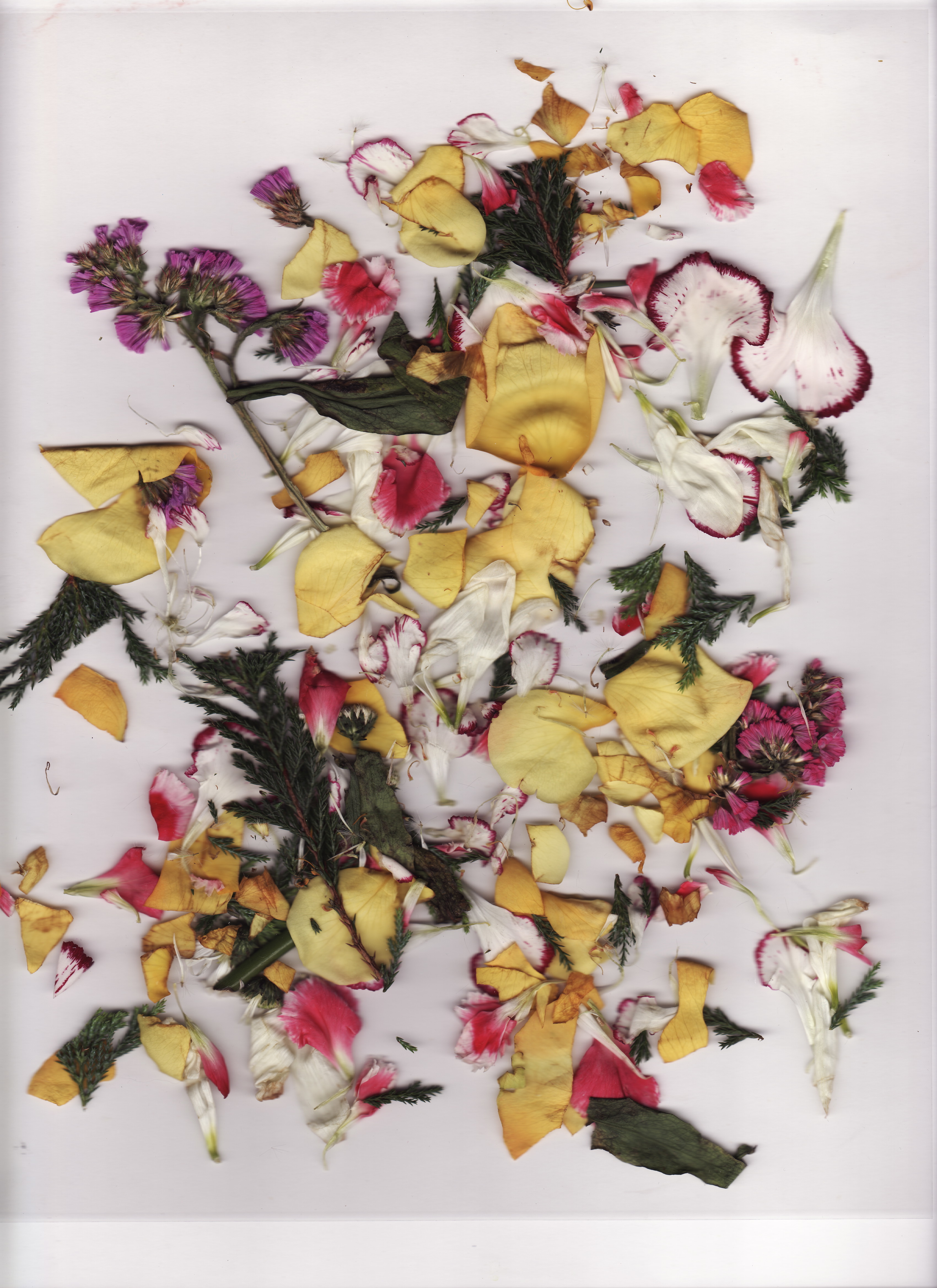 Vxx Li OnlyFans header