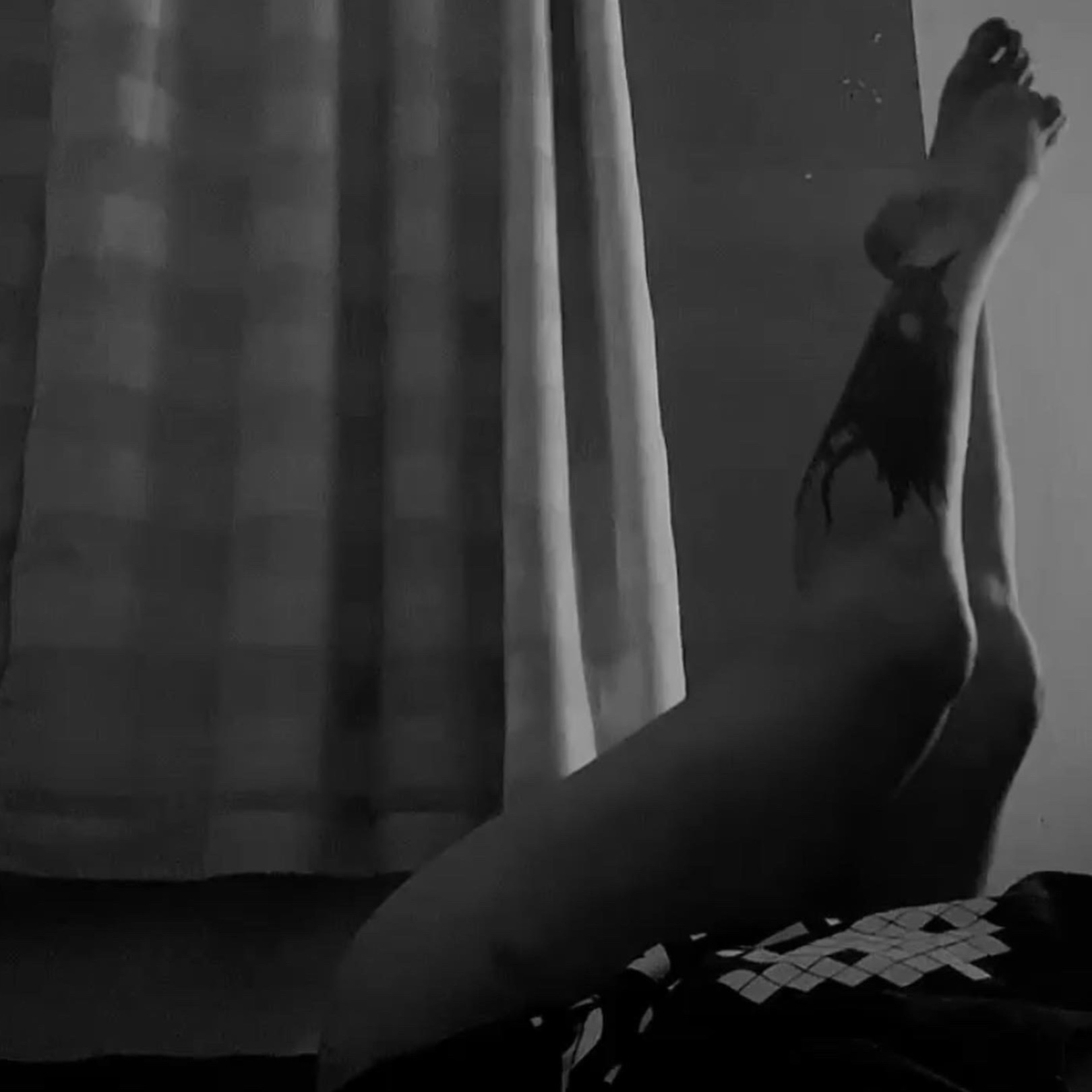 viviane luiza. OnlyFans header