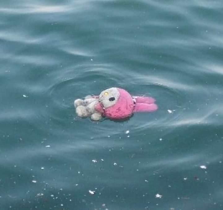 VyBunn OnlyFans header