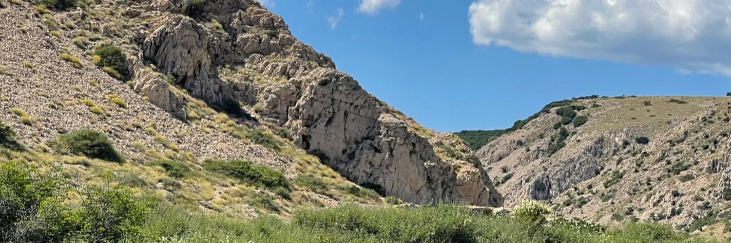 VytaminD OnlyFans header