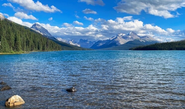 Vyxen Rose💋 OnlyFans header