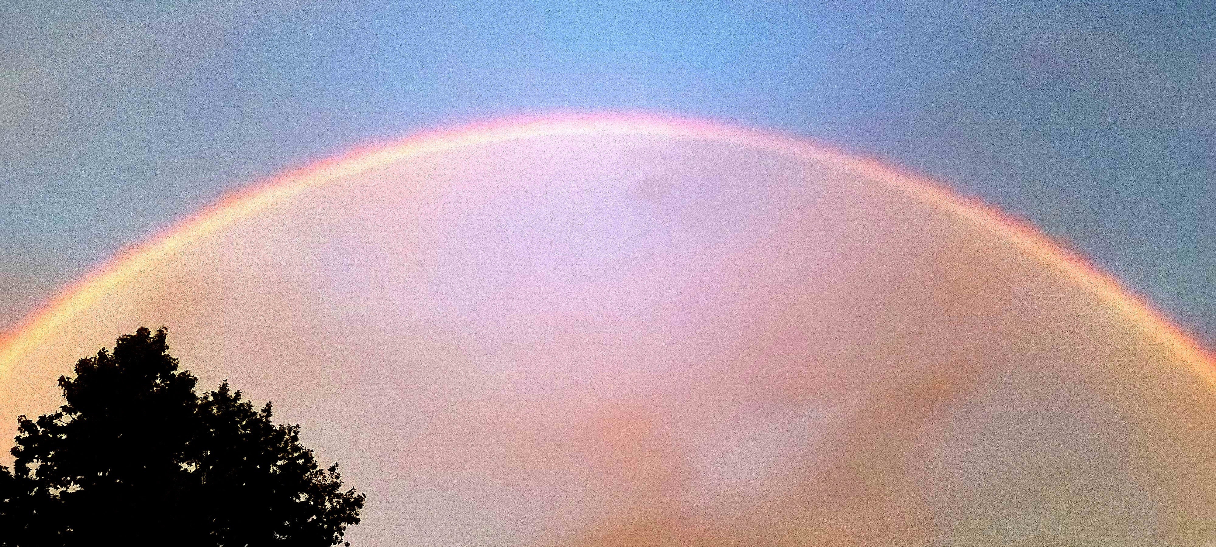 Vixen OnlyFans header