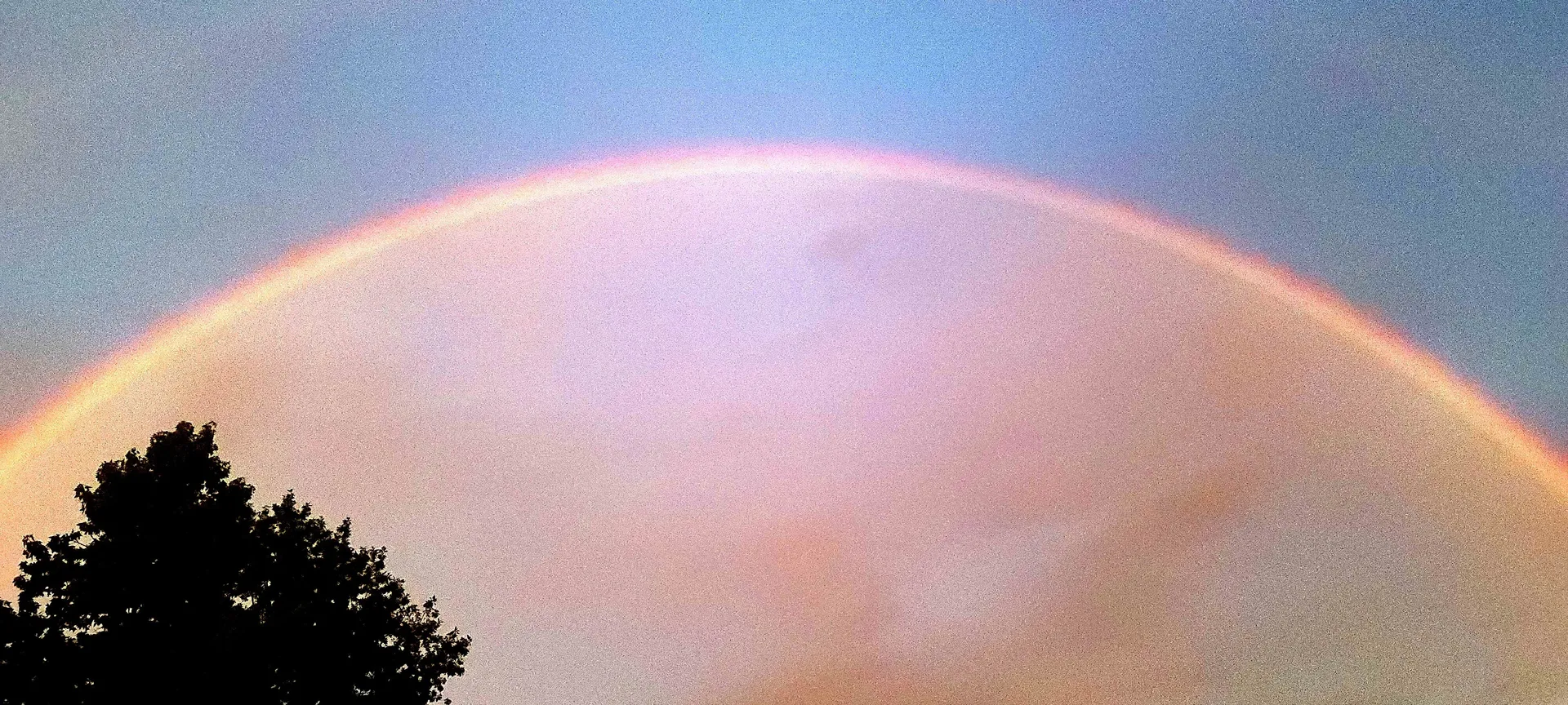 Vixen OnlyFans header