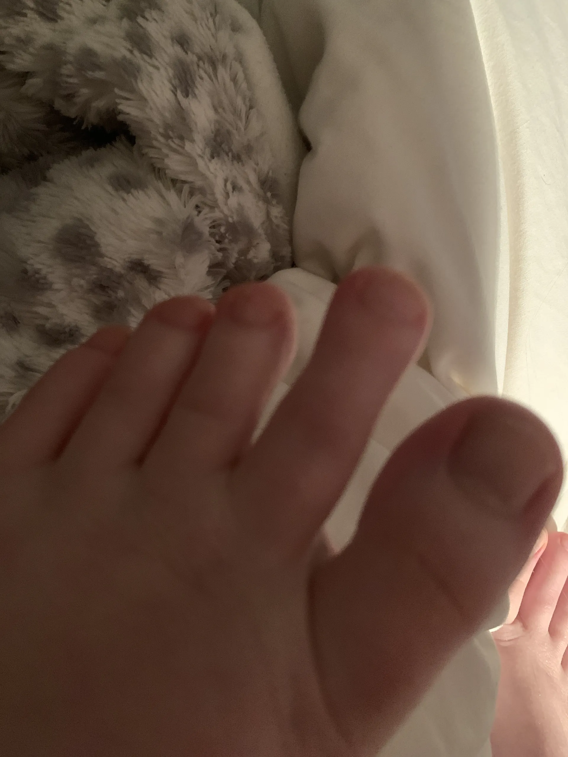 weirdfeet OnlyFans header