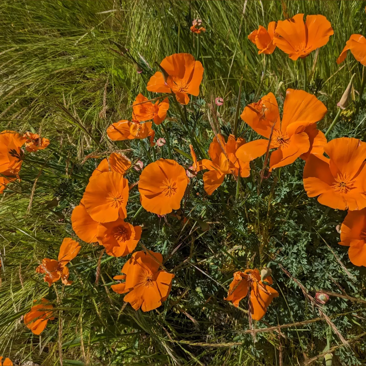 wftie OnlyFans header