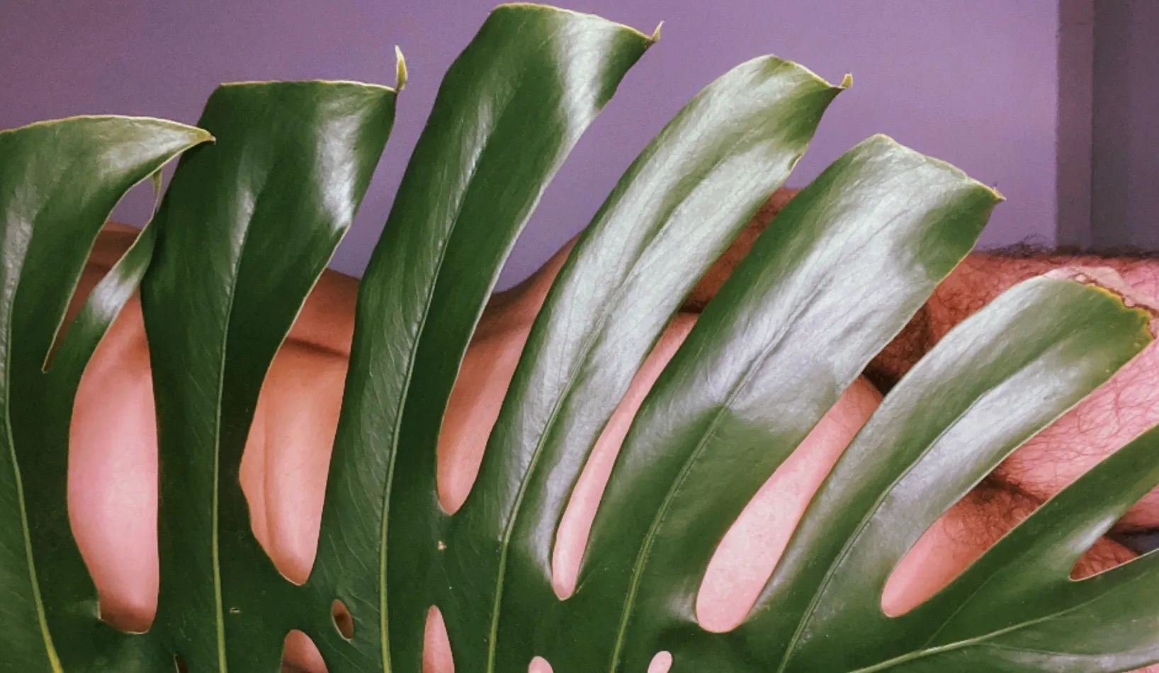 𝒲𝒾𝓁𝓁 ☾ OnlyFans header