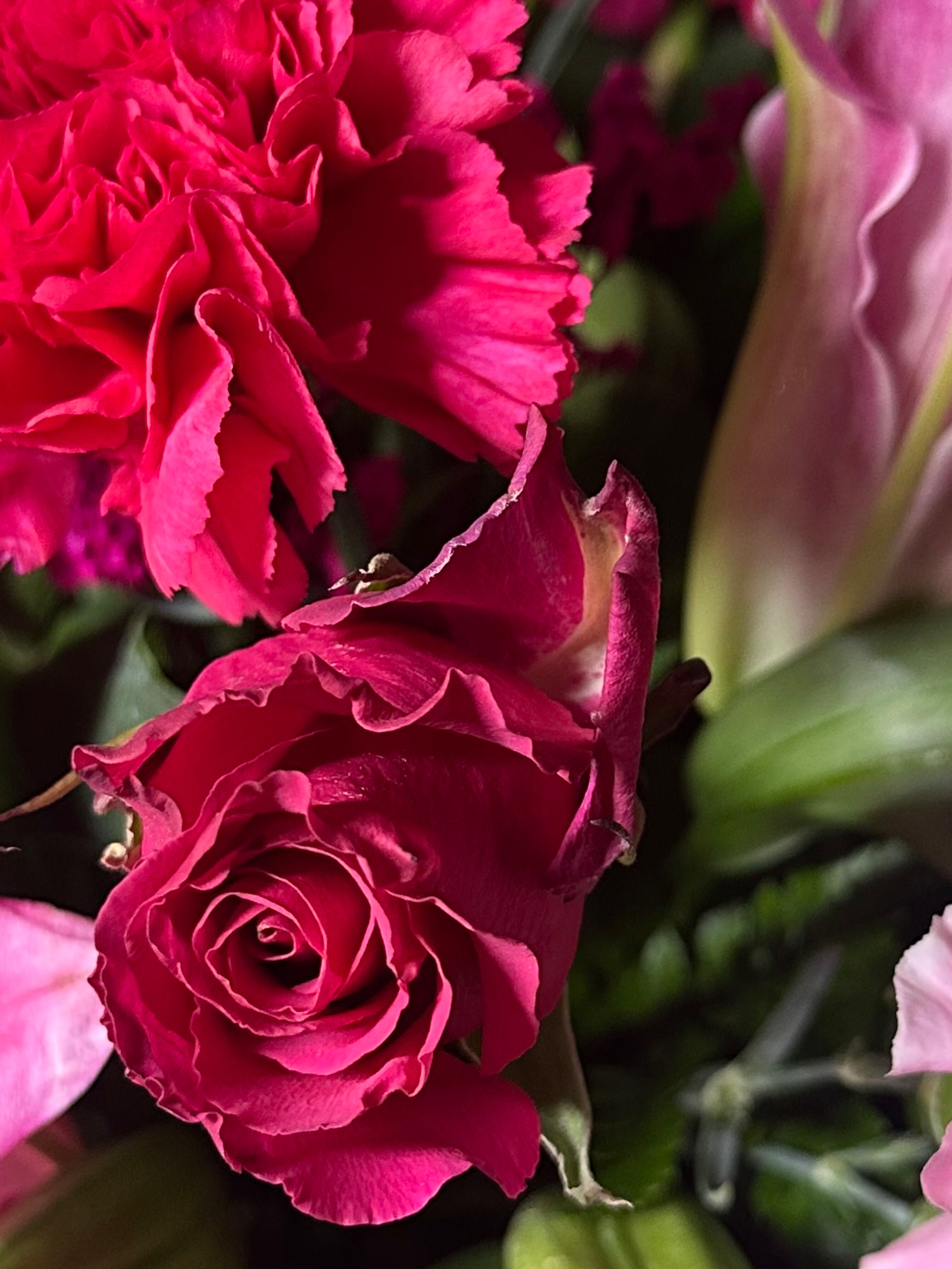 Kenzie OnlyFans header