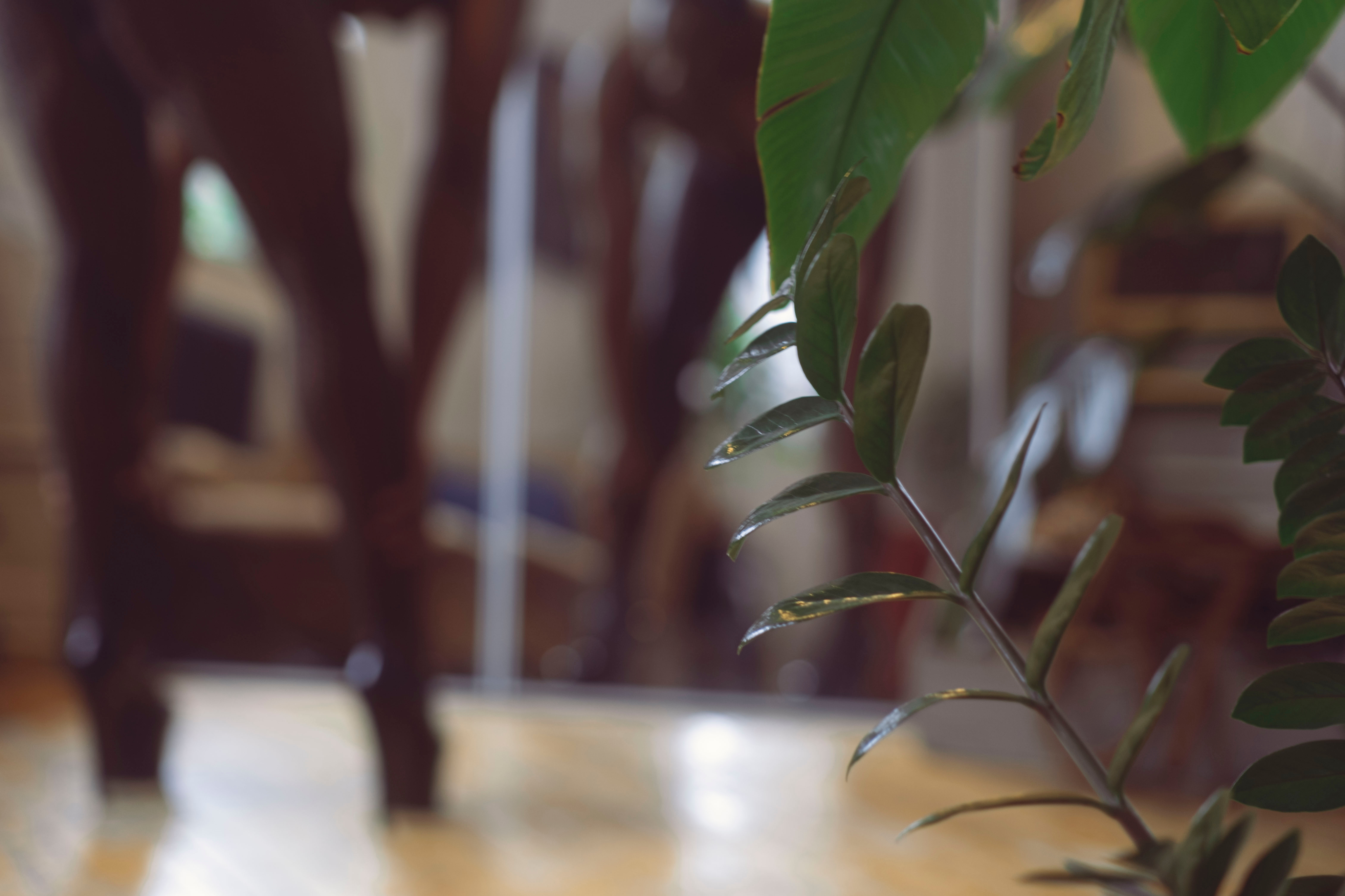 BimboBacchus ~ They/Themme/She/Her OnlyFans