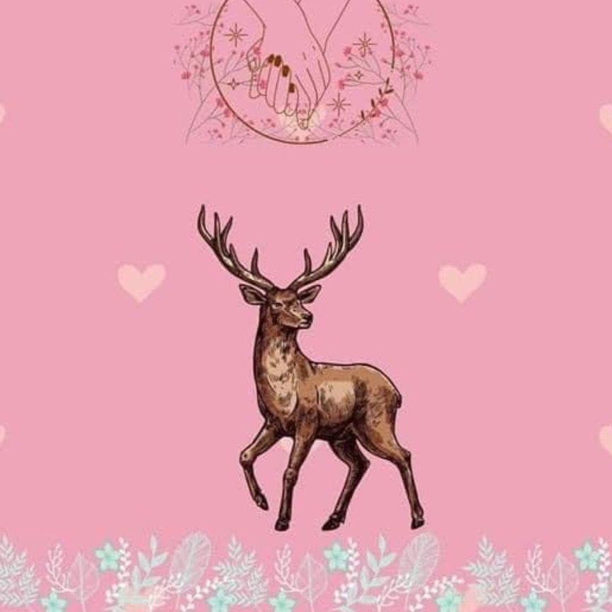 Whale4z OnlyFans header