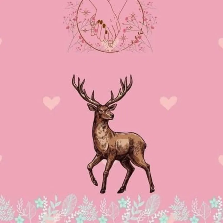 Whale4z OnlyFans header