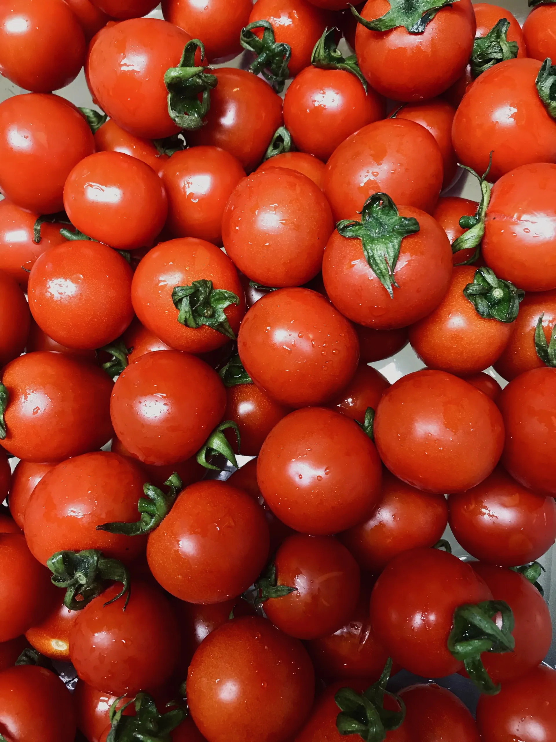 Whale OnlyFans header