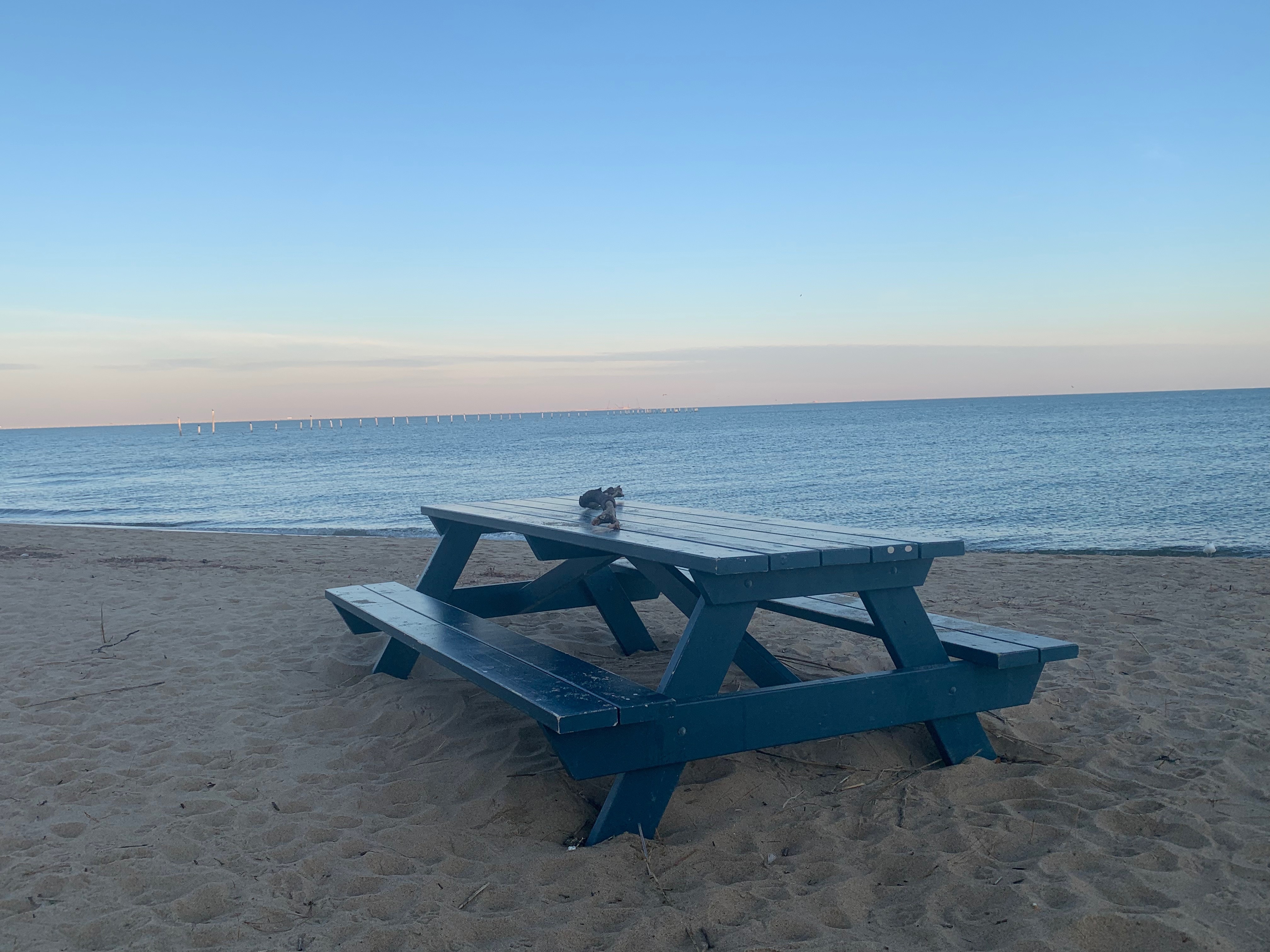 Xavier Nguyen OnlyFans header