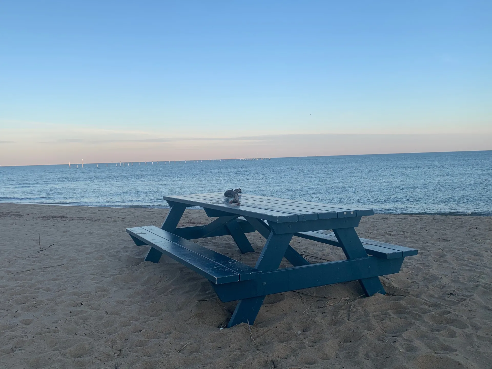 Xavier Nguyen OnlyFans header