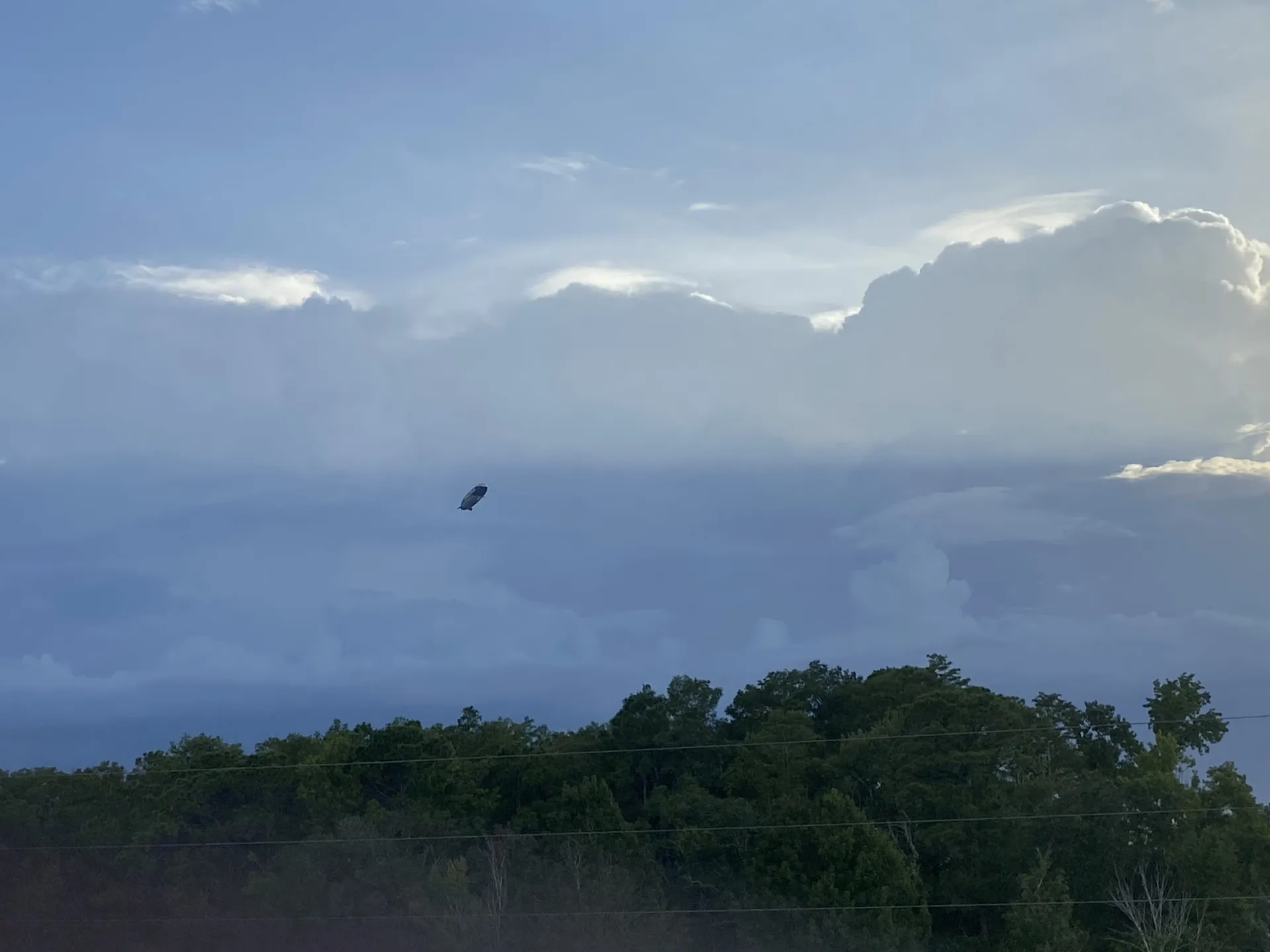 Slim Bibbins OnlyFans header