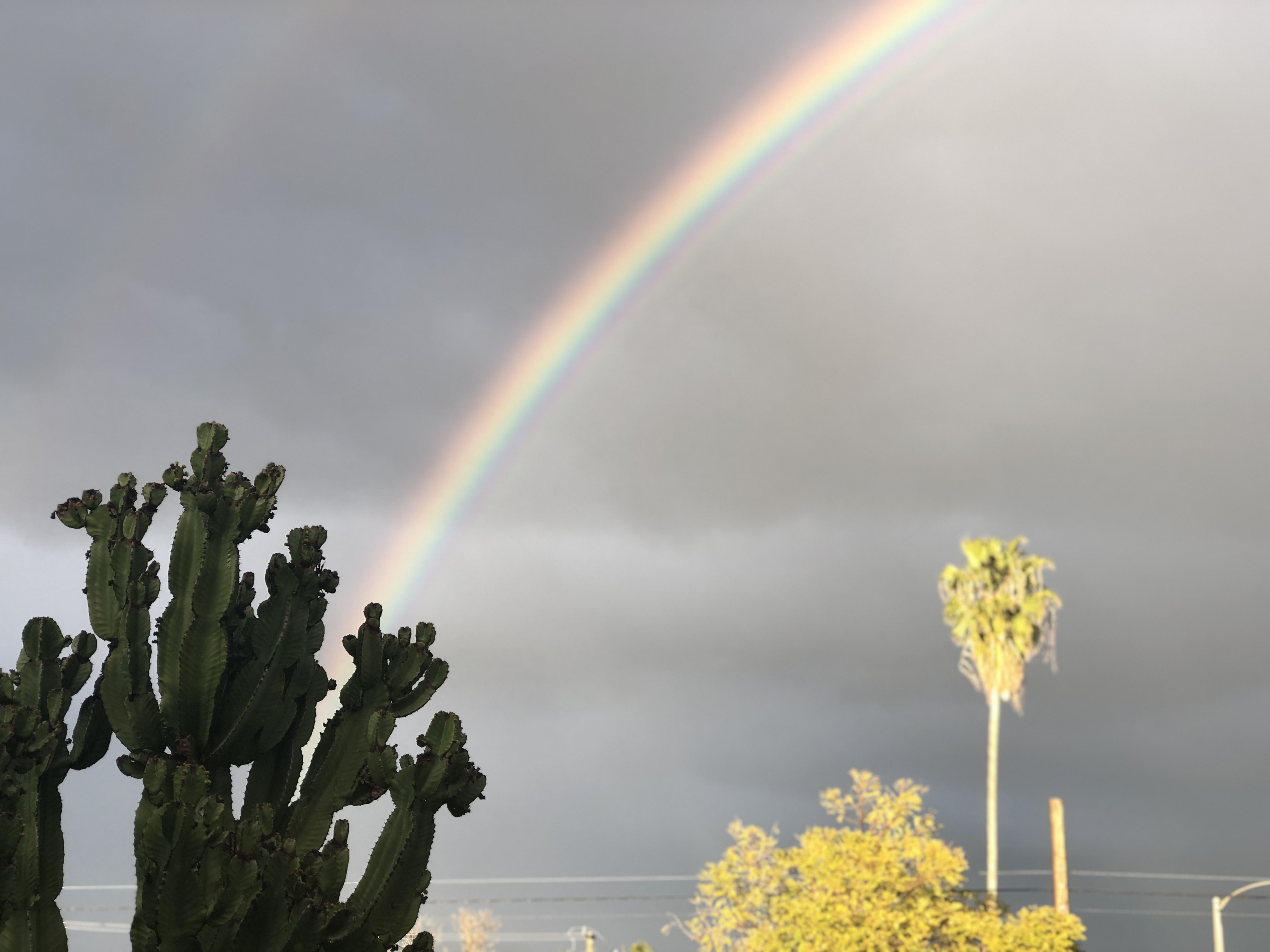 Bexx OnlyFans header