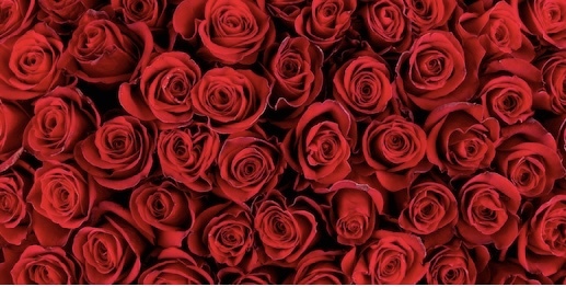 Lili Perez OnlyFans header