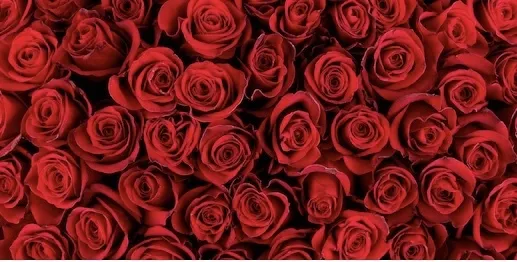 Lili Perez OnlyFans header