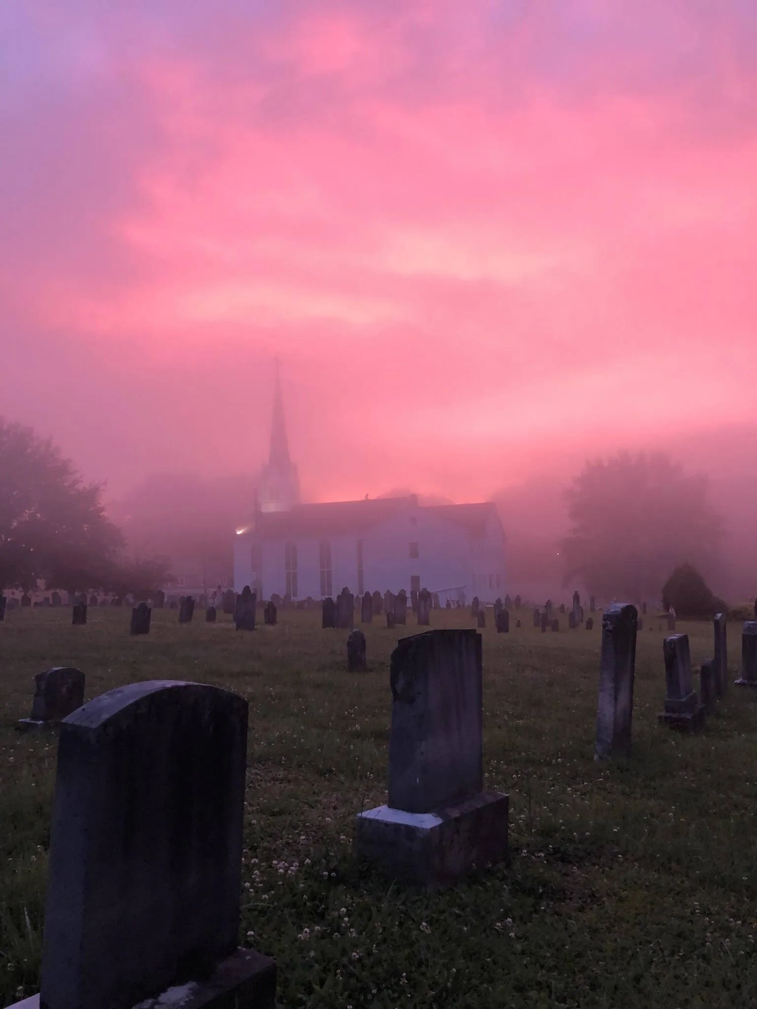 ♣️ OnlyFans header